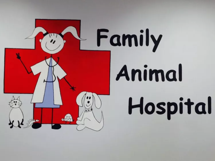 Family Animal Hospital, California, Costa Mesa